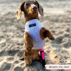 Cocopup Adjustable Neck Harnesses-Pink Dalmatian Adjustable Neck HARNESS