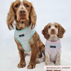 Cocopup Adjustable Neck Harnesses-Pink Dalmatian Adjustable Neck HARNESS