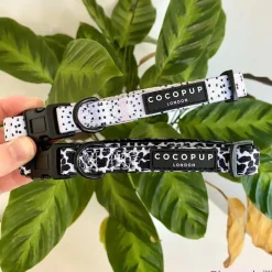 Cocopup Collars | Puppy Leads & Collars-Pink Dalmatian COLLAR