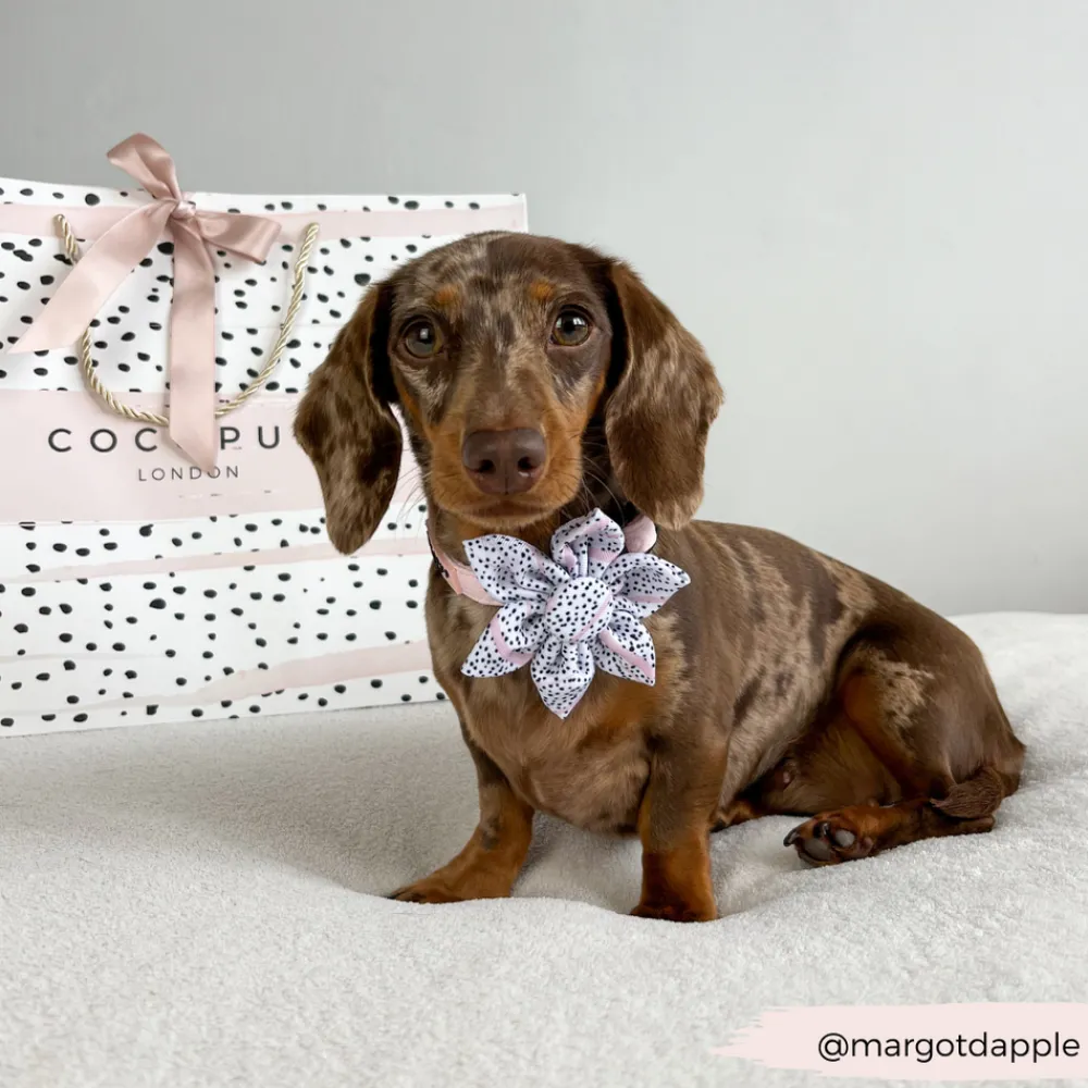 Cocopup Collar Flowers-Pink Dalmatian Collar Flower
