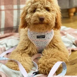 Cocopup Leads-Pink Dalmatian Lead