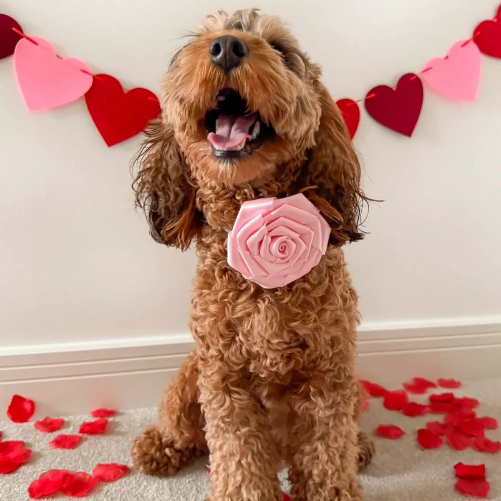 Cocopup Collar Flowers-Pink Rose Collar Flower