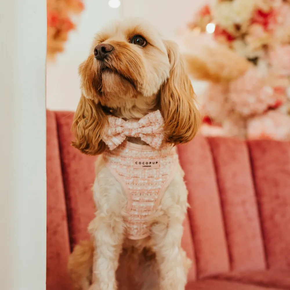 Cocopup Bow Ties-Pink Textured Tweed Bow Tie