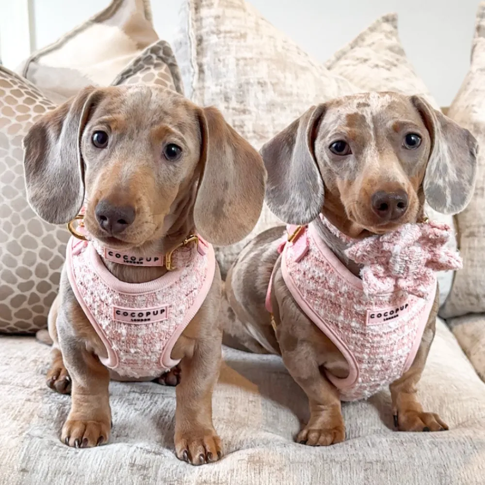 Cocopup Collar Flowers-Pink Textured Tweed Collar Flower
