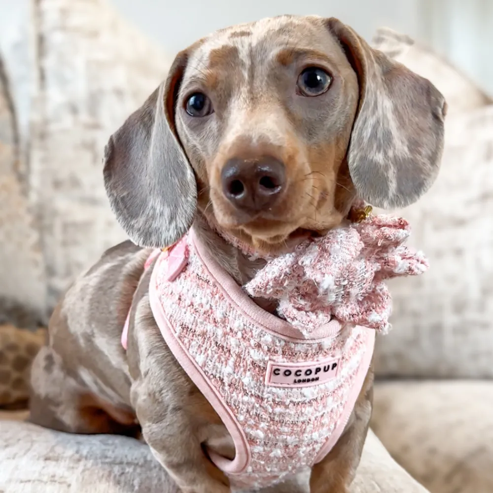 Cocopup Collar Flowers-Pink Textured Tweed Collar Flower