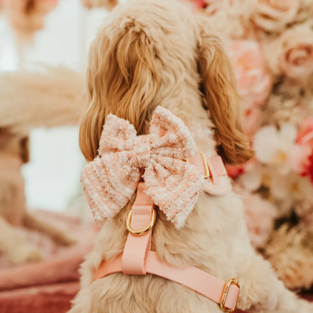 Cocopup Sailor Bow Ties-Pink Textured Tweed Sailor Bow Tie