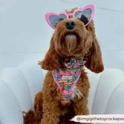 Cocopup Collar Flowers-Portofino Pup Collar Flower