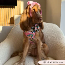 Cocopup Collar Flowers-Portofino Pup Collar Flower
