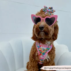 Cocopup Collar Flowers-Portofino Pup Collar Flower
