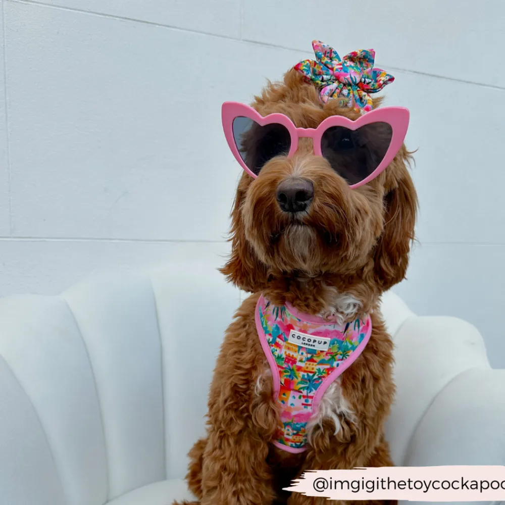 Cocopup Collar Flowers-Portofino Pup Collar Flower