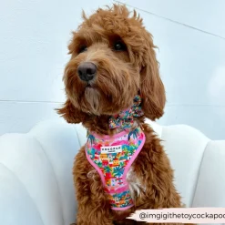 Cocopup Collar Flowers-Portofino Pup Collar Flower