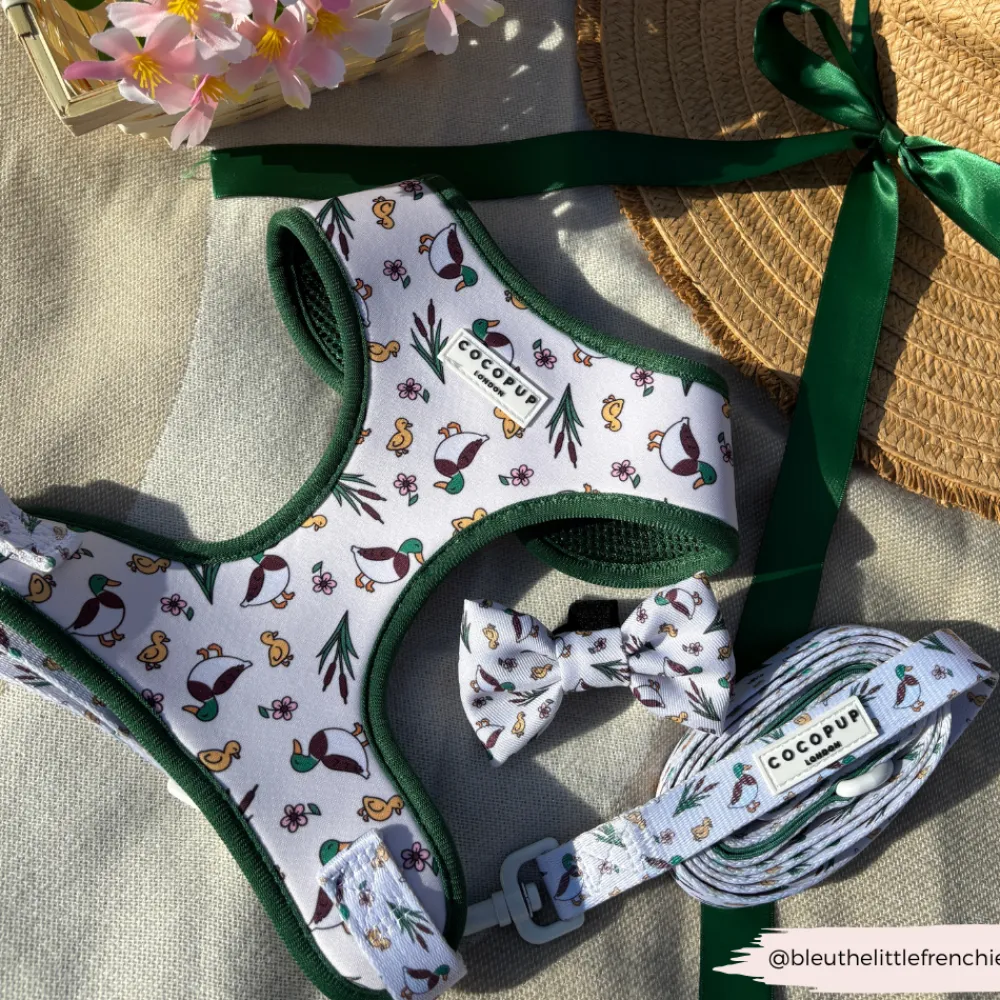 Cocopup Bow Ties-Puddle Pup Bow Tie