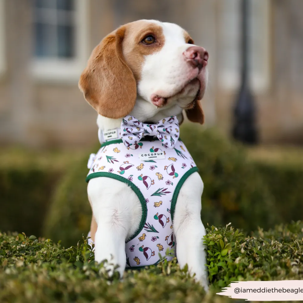 Cocopup Bow Ties-Puddle Pup Bow Tie