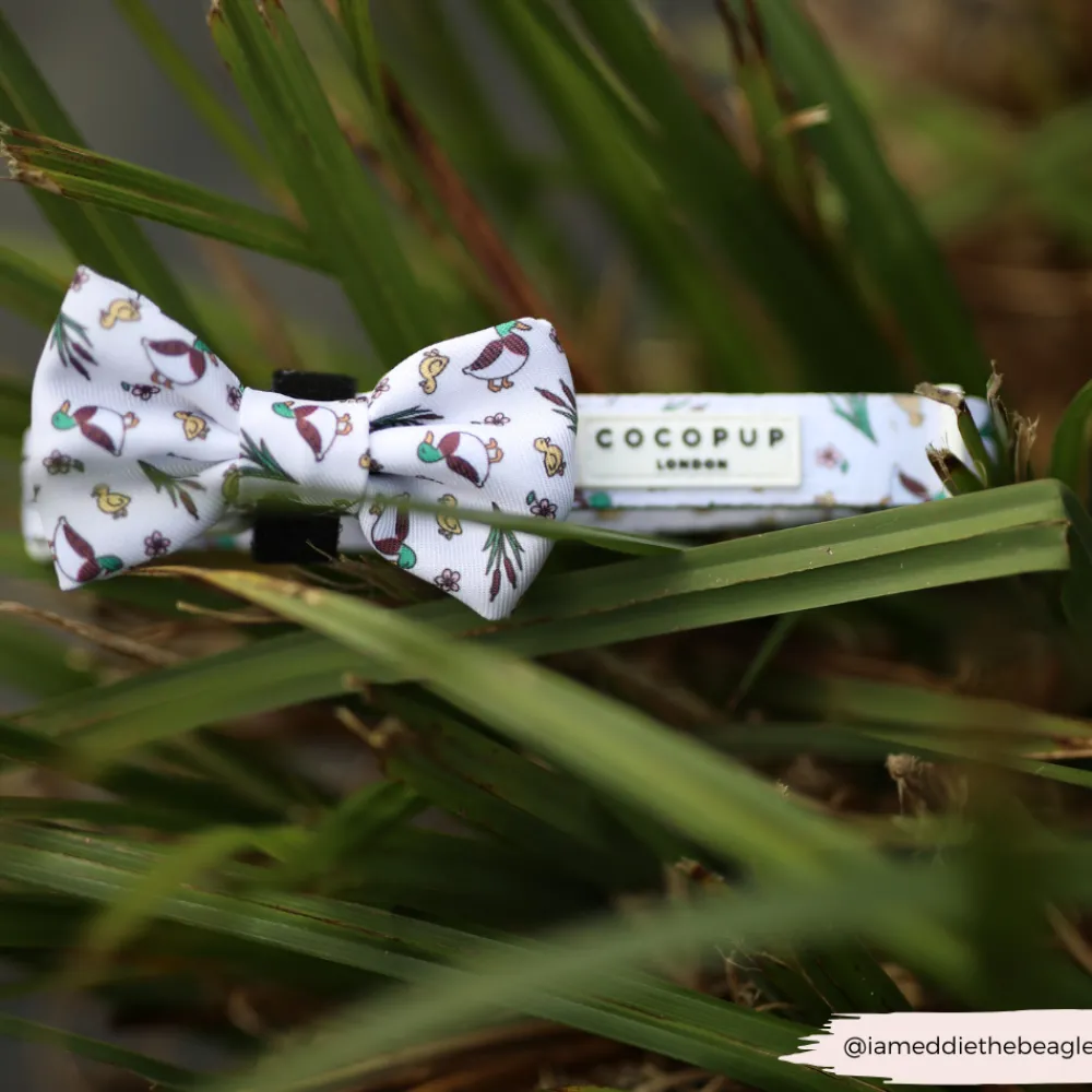 Cocopup Collars | Puppy Leads & Collars-Puddle Pup COLLAR
