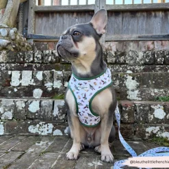 Cocopup Leads-Puddle Pup Lead