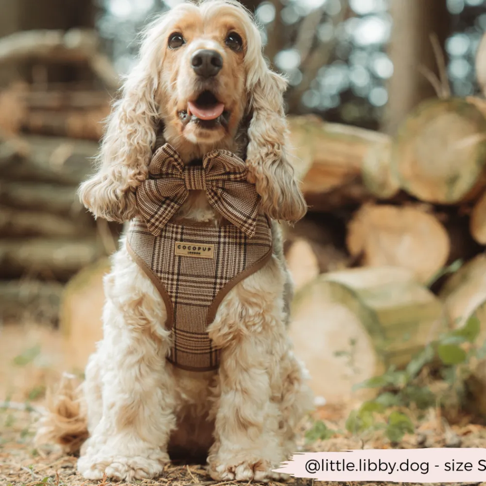 Cocopup Adjustable Harness Bundles-Pup Plaid Adjustable Neck Harness, Lead & Collar Bundle