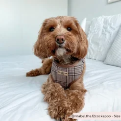 Cocopup Adjustable Harness Bundles-Pup Plaid Adjustable Neck Harness, Lead & Collar Bundle