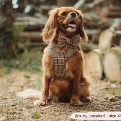 Cocopup Bow Ties | Bow Ties-Pup Plaid Bow Tie