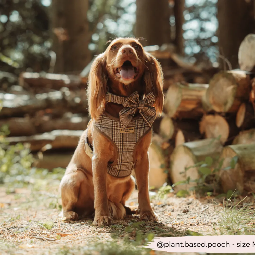 Cocopup Collars | Puppy Leads & Collars-Pup Plaid COLLAR