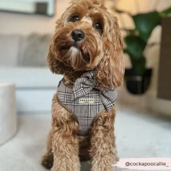 Cocopup Sailor Bow Ties | Bow Ties-Pup Plaid Sailor Bow Tie