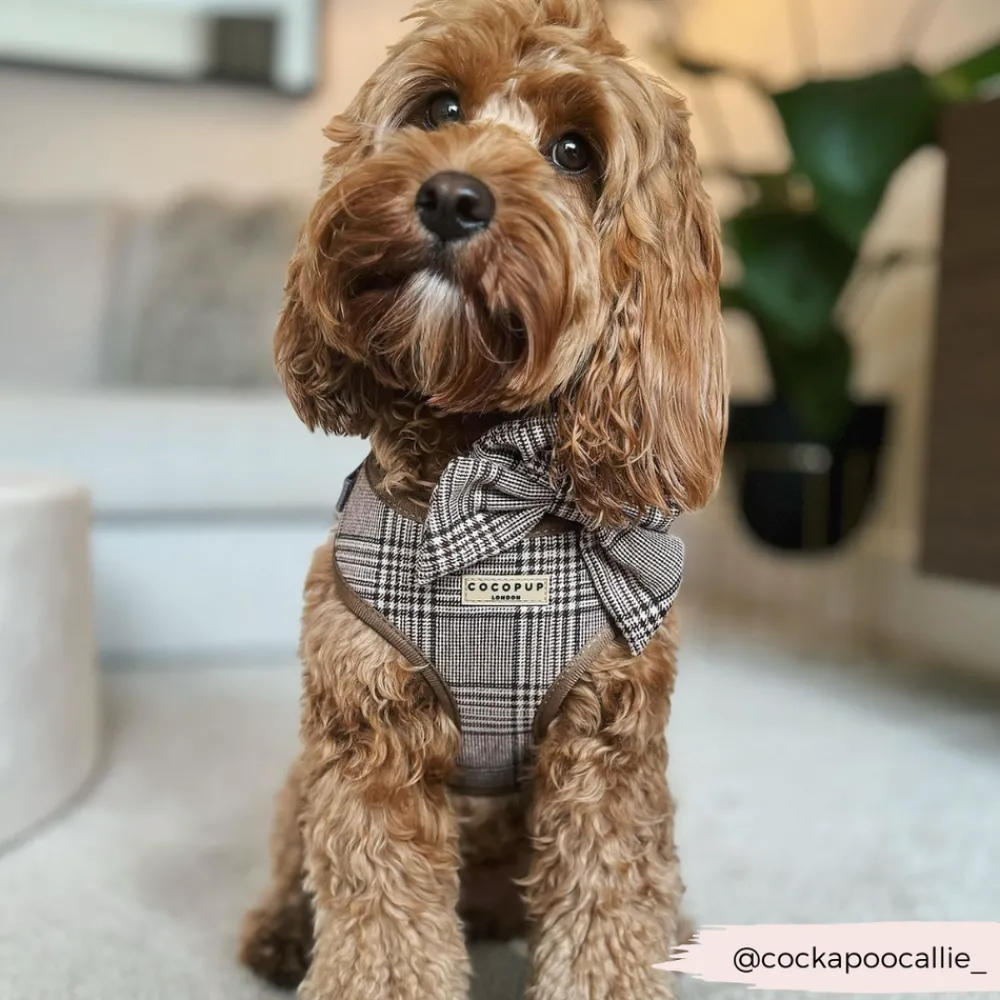 Cocopup Sailor Bow Ties | Bow Ties-Pup Plaid Sailor Bow Tie