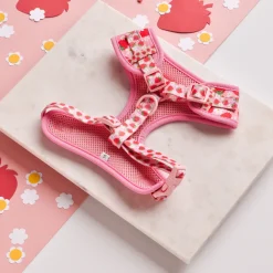 Cocopup Adjustable Harness Bundles-Pupberry Fields Adjustable Neck Harness, Lead & Collar Bundle