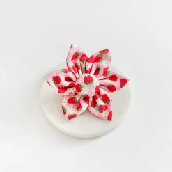 Cocopup Collar Flowers-Pupberry Fields Collar Flower