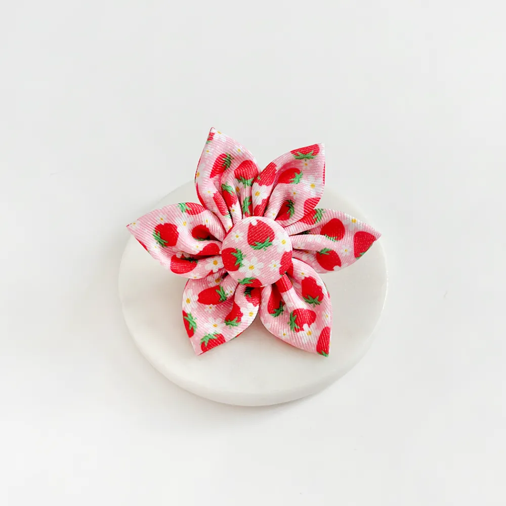 Cocopup Collar Flowers-Pupberry Fields Collar Flower