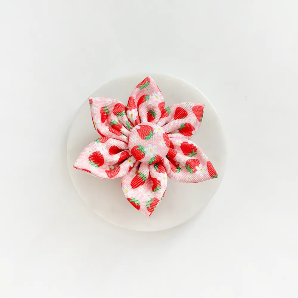 Cocopup Collar Flowers-Pupberry Fields Collar Flower