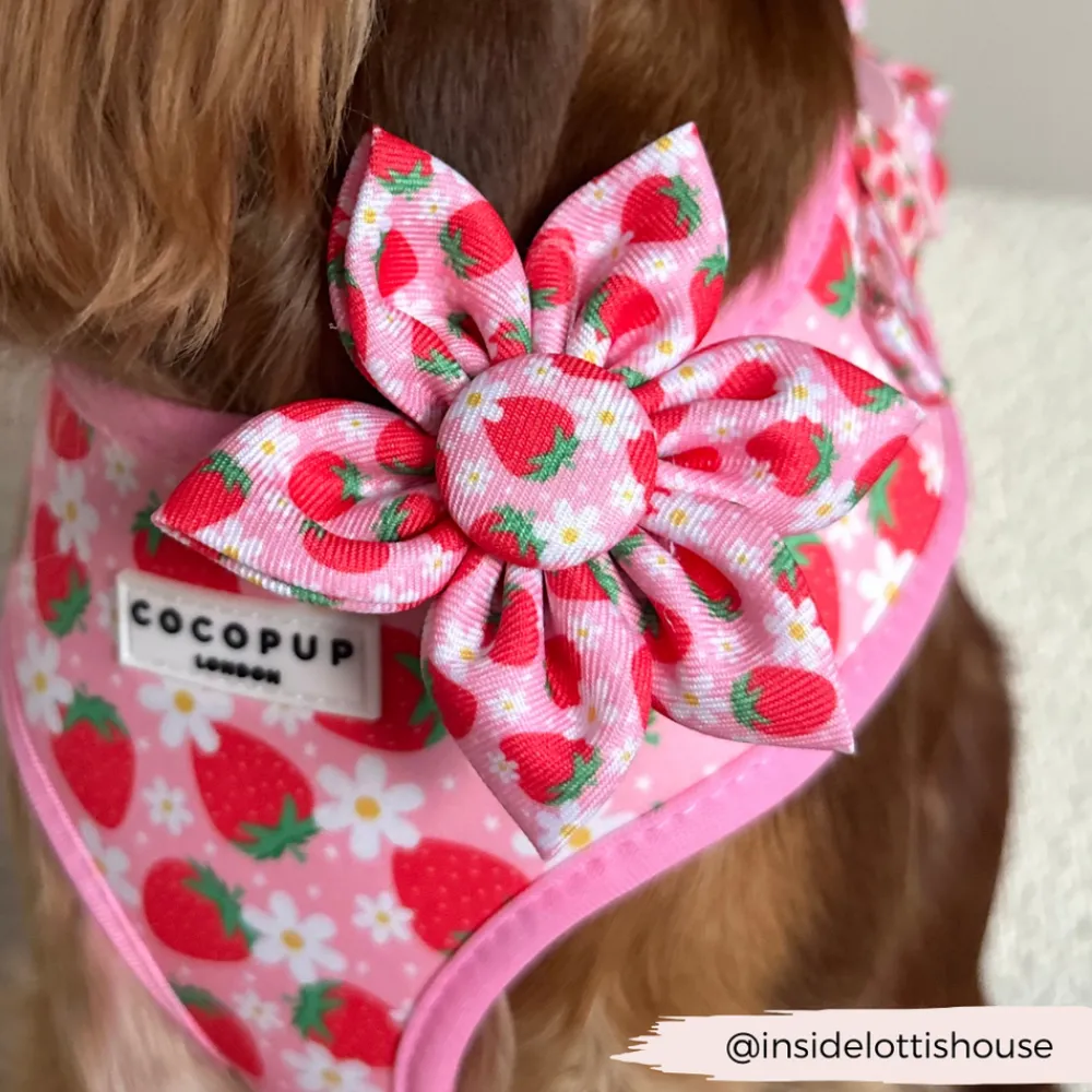 Cocopup Collar Flowers-Pupberry Fields Collar Flower