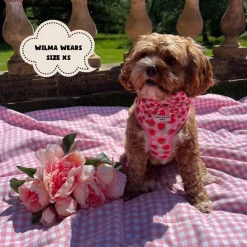 Cocopup Sailor Bow Ties-Pupberry Fields Sailor Bow Tie