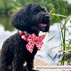 Cocopup Sailor Bow Ties-Pupberry Fields Sailor Bow Tie