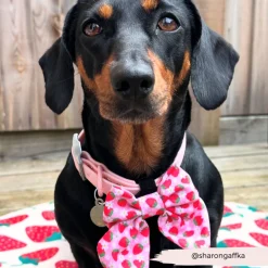 Cocopup Sailor Bow Ties-Pupberry Fields Sailor Bow Tie