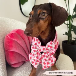 Cocopup Sailor Bow Ties-Pupberry Fields Sailor Bow Tie