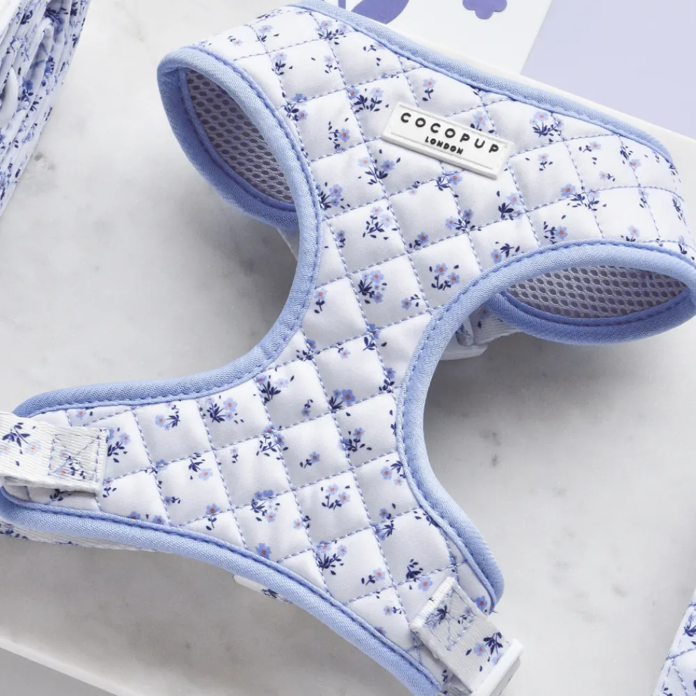 Cocopup Adjustable Neck Harnesses-Quilted Ditsy Floral Periwinkle Adjustable Neck HARNESS