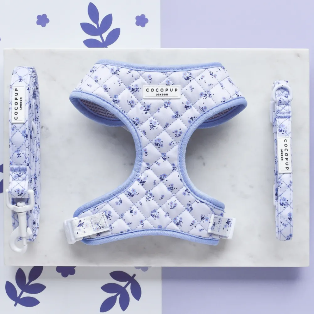 Cocopup Adjustable Harness Bundles-Quilted Ditsy Floral Periwinkle Adjustable Neck Harness, Lead & Collar Bundle