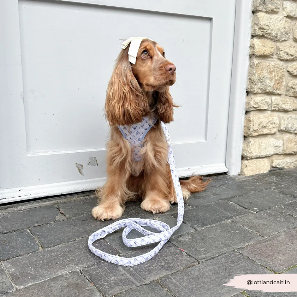 Cocopup Leads-Quilted Ditsy Floral Periwinkle Lead