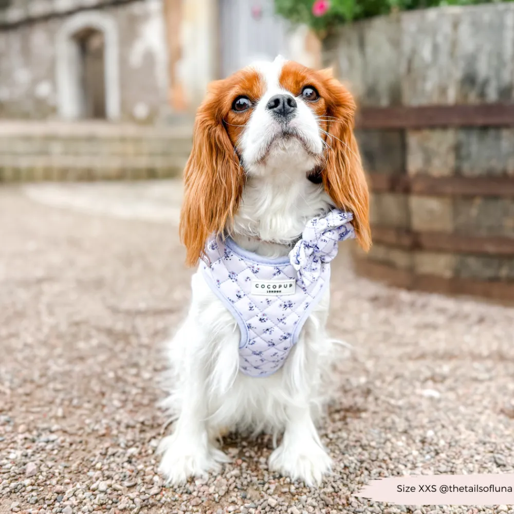 Cocopup Collar Flowers-Quilted Ditsy Floral Periwinkle Collar Flower