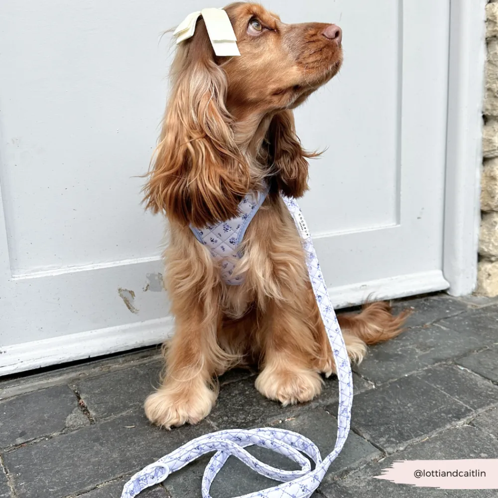 Cocopup Leads-Quilted Ditsy Floral Periwinkle Lead