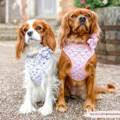 Cocopup Adjustable Harness Bundles-Quilted Ditsy Floral Periwinkle Adjustable Neck Harness, Lead & Collar Bundle