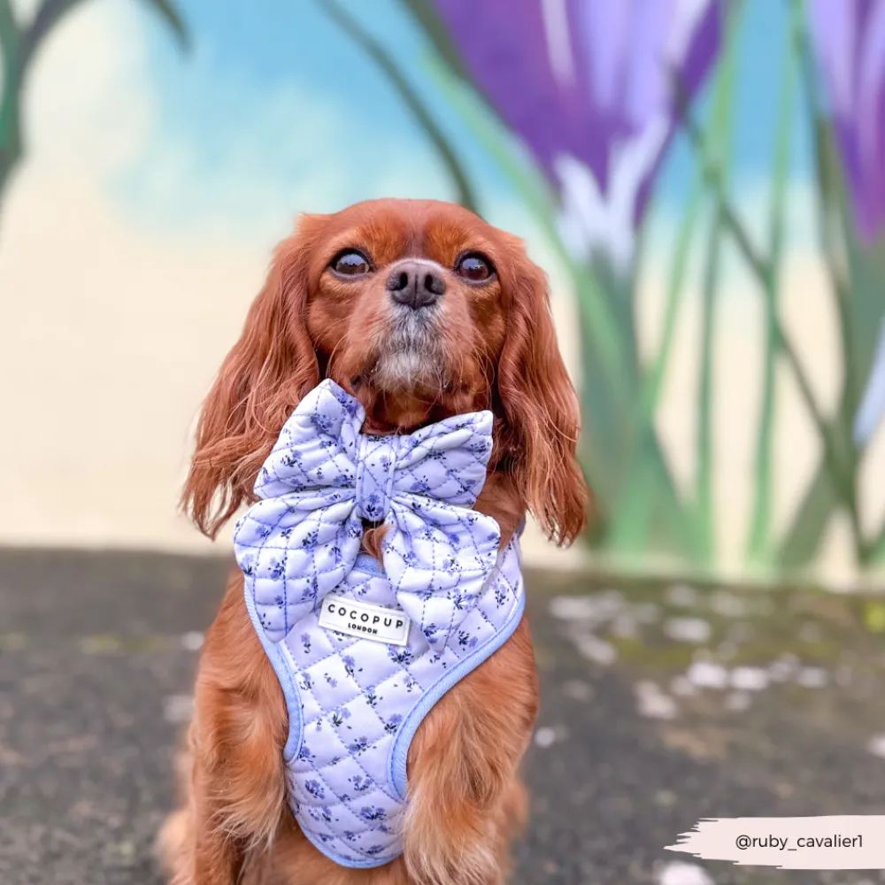 Cocopup Sailor Bow Ties-Quilted Ditsy Floral Periwinkle Sailor Bow Tie