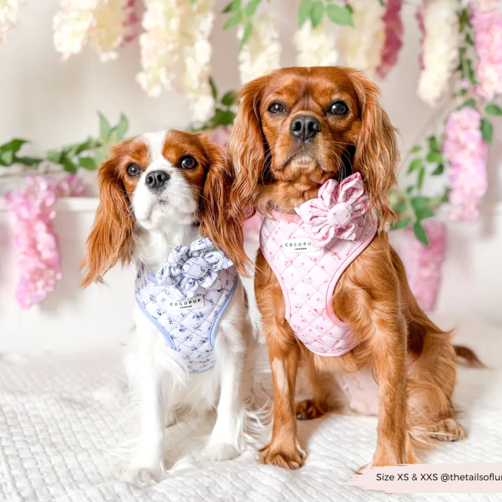 Cocopup Collar Flowers-Quilted Ditsy Floral Periwinkle Collar Flower