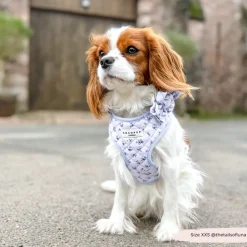 Cocopup Collar Flowers-Quilted Ditsy Floral Periwinkle Collar Flower