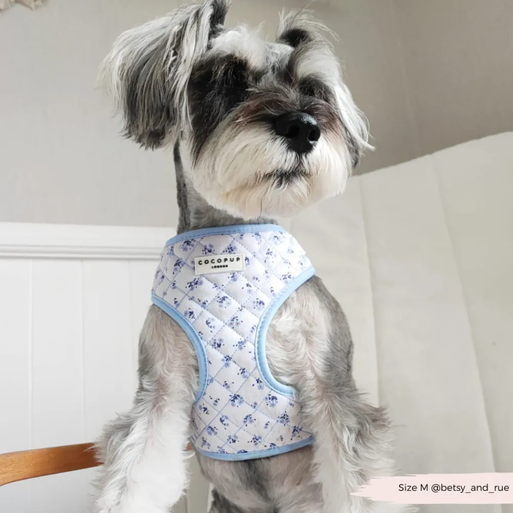 Cocopup Adjustable Neck Harnesses-Quilted Ditsy Floral Periwinkle Adjustable Neck HARNESS