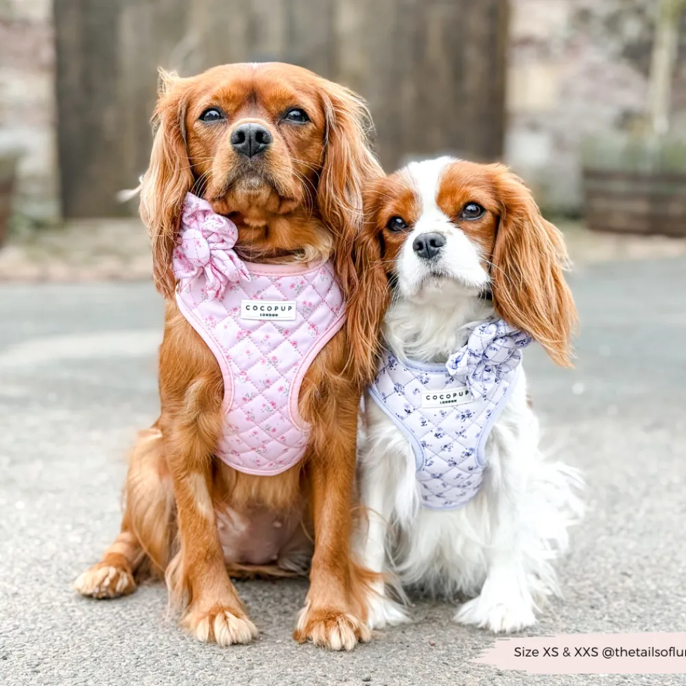 Cocopup Collar Flowers-Quilted Ditsy Floral Pink Collar Flower