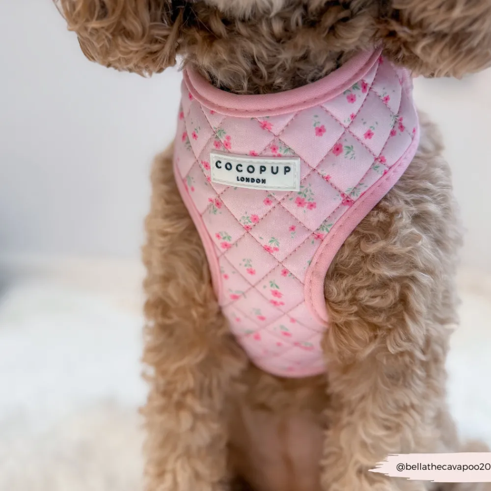 Cocopup Adjustable Harness Bundles-Quilted Ditsy Floral Pink Adjustable Neck Harness, Lead & Collar Bundle