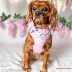 Cocopup Collar Flowers-Quilted Ditsy Floral Pink Collar Flower