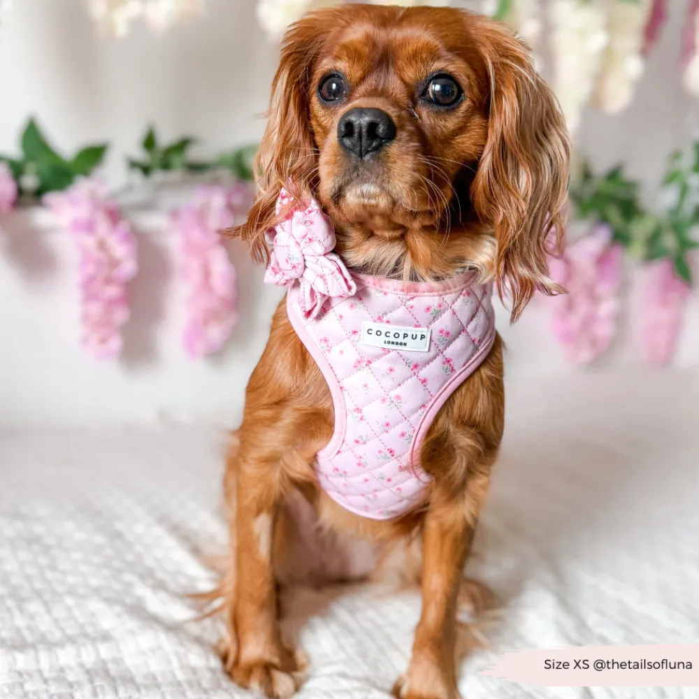 Cocopup Collar Flowers-Quilted Ditsy Floral Pink Collar Flower