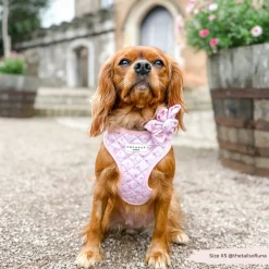Cocopup Adjustable Harness Bundles-Quilted Ditsy Floral Pink Adjustable Neck Harness, Lead & Collar Bundle