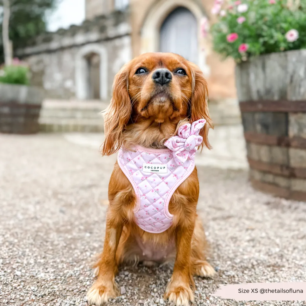 Cocopup Adjustable Harness Bundles-Quilted Ditsy Floral Pink Adjustable Neck Harness, Lead & Collar Bundle